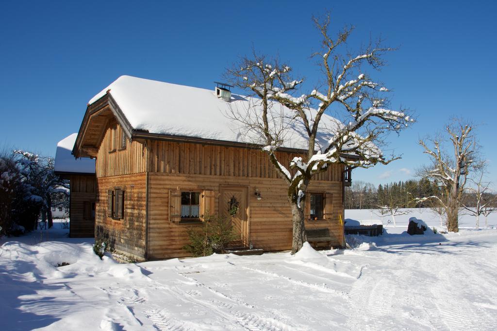 Ferienhaus Lenzenbauer Зальцбург Экстерьер фото